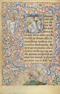 Inicial D: A Lamentação de Master of Jean Rolin II (Hand B)