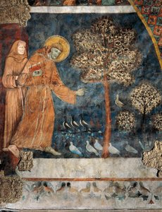 Pregar aos pássaros de Master of Saint Francis of Assisi