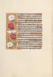 Horas da rainha Isabel, a católica, rainha da Espanha: Fol. 104v, c. 1500. de Master of the First Prayerbook of Maximillian