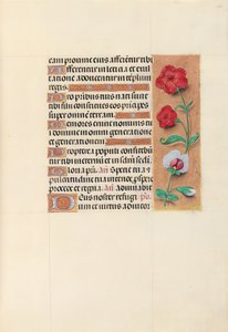 Horas da rainha Isabel, a católica, rainha da Espanha: Fol. 105r, c. 1500. de Master of the First Prayerbook of Maximillian