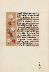 Horas da rainha Isabel, a católica, rainha da Espanha: Fol. 106v, c. 1500. de Master of the First Prayerbook of Maximillian