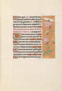 Horas da rainha Isabel, a Católica, rainha de Espanha:  Fol. 107r de Master of the First Prayerbook of Maximillian
