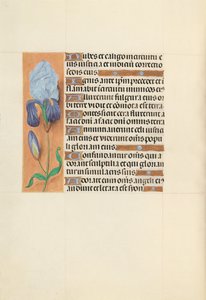 Horas da rainha Isabel, a católica, rainha da Espanha: Fol. 108v, c. 1500. de Master of the First Prayerbook of Maximillian