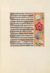 Horas da rainha Isabel, a católica, rainha da Espanha: Fol. 109r, c. 1500. de Master of the First Prayerbook of Maximillian