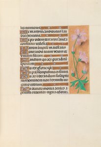 Horas da rainha Isabel, a católica, rainha da Espanha: Fol. 113r, c. 1500. de Master of the First Prayerbook of Maximillian