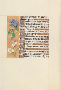 Horas da rainha Isabel, a católica, rainha da Espanha: Fol. 113v, c. 1500. de Master of the First Prayerbook of Maximillian