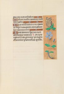 Horas da rainha Isabel, a católica, rainha da Espanha: Fol. 114r, c. 1500. de Master of the First Prayerbook of Maximillian