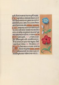 Horas da rainha Isabel, a católica, rainha da Espanha: Fol. 117r, c. 1500. de Master of the First Prayerbook of Maximillian