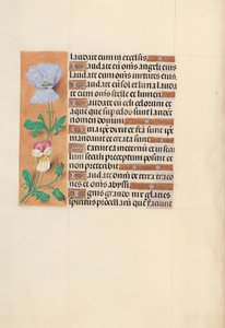Horas da rainha Isabel, a católica, rainha da Espanha: Fol. 120v, c. 1500. de Master of the First Prayerbook of Maximillian