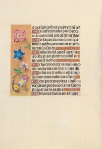 Horas da rainha Isabel, a católica, rainha da Espanha: Fol. 123v, c. 1500. de Master of the First Prayerbook of Maximillian