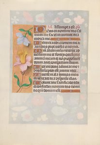 Horas da rainha Isabel, a católica, rainha da Espanha: Fol. 127v, c. 1500. de Master of the First Prayerbook of Maximillian