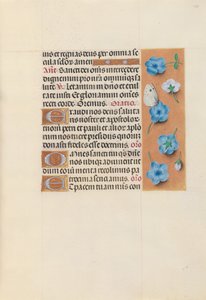 Horas da rainha Isabel, a católica, rainha da Espanha: Fol. 130r, c. 1500. de Master of the First Prayerbook of Maximillian