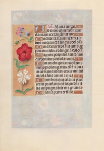 Horas da rainha Isabel, a católica, rainha da Espanha: Fol. 132v, c. 1500. de Master of the First Prayerbook of Maximillian