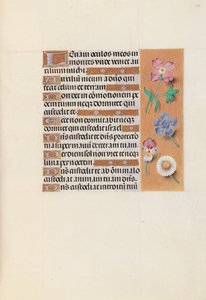 Horas da rainha Isabel, a católica, rainha da Espanha: Fol. 133r, c. 1500. de Master of the First Prayerbook of Maximillian