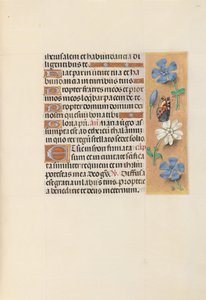 Horas da rainha Isabel, a católica, rainha da Espanha: Fol. 134r, c. 1500. de Master of the First Prayerbook of Maximillian