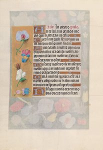 Horas da rainha Isabel, a católica, rainha da Espanha: Fol. 137v, c. 1500. de Master of the First Prayerbook of Maximillian