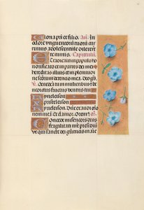 Horas da rainha Isabel, a católica, rainha da Espanha: Fol. 139r, c. 1500. de Master of the First Prayerbook of Maximillian