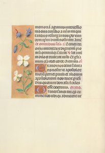 Horas da rainha Isabel, a católica, rainha da Espanha: Fol. 139v, c. 1500. de Master of the First Prayerbook of Maximillian