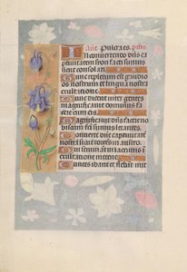 Horas da rainha Isabel, a católica, rainha da Espanha: Fol. 142v, c. 1500. de Master of the First Prayerbook of Maximillian