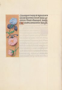 Horas da rainha Isabel, a católica, rainha da Espanha: Fol. 145v, c. 1500. de Master of the First Prayerbook of Maximillian