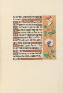 Horas da rainha Isabel, a católica, rainha da Espanha: Fol. 150r, c. 1500. de Master of the First Prayerbook of Maximillian