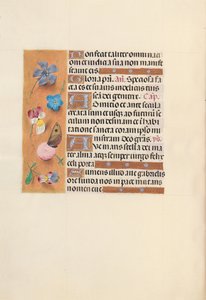 Horas da rainha Isabel, a católica, rainha da Espanha: Fol. 150v, c. 1500. de Master of the First Prayerbook of Maximillian