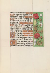 Horas da rainha Isabel, a católica, rainha da Espanha: Fol. 152r, c. 1500. de Master of the First Prayerbook of Maximillian