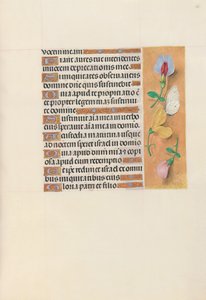 Horas da rainha Isabel, a católica, rainha da Espanha: Fol. 156r, c. 1500. de Master of the First Prayerbook of Maximillian