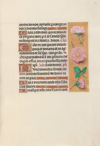 Horas da rainha Isabel, a católica, rainha da Espanha: Fol. 157r, c. 1500. de Master of the First Prayerbook of Maximillian