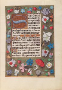 Horas da rainha Isabel, a católica, rainha da Espanha: Fol. 15r, c. 1500. de Master of the First Prayerbook of Maximillian