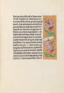 Horas da rainha Isabel, a católica, rainha da Espanha: Fol. 163r, c. 1500.