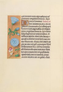 Horas da rainha Isabel, a católica, rainha da Espanha: Fol. 163v, c. 1500. de Master of the First Prayerbook of Maximillian