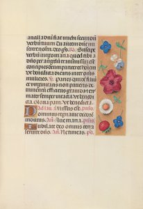 Horas da rainha Isabel, a católica, rainha da Espanha: Fol. 164r, c. 1500. de Master of the First Prayerbook of Maximillian