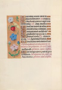 Horas da rainha Isabel, a católica, rainha da Espanha: Fol. 164v, c. 1500.
