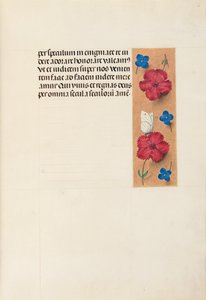 Horas da rainha Isabel, a católica, rainha da Espanha: Fol. 16r, c. 1500. de Master of the First Prayerbook of Maximillian