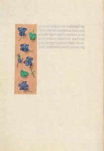 Horas da rainha Isabel, a católica, rainha da Espanha: Fol. 16v, borda curta, c. 1500. de Master of the First Prayerbook of Maximillian