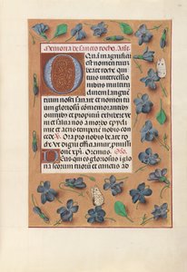 Horas da rainha Isabel, a católica, rainha da Espanha: Fol. 182r, c. 1500. de Master of the First Prayerbook of Maximillian