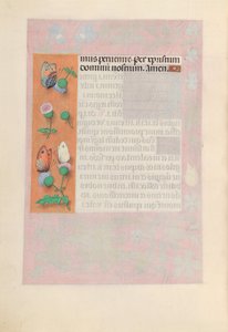 Horas da rainha Isabel, a católica, rainha da Espanha: Fol. 190v, c. 1500. de Master of the First Prayerbook of Maximillian