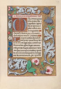 Horas da rainha Isabel, a Católica, rainha de Espanha:  Fol. 194r de Master of the First Prayerbook of Maximillian