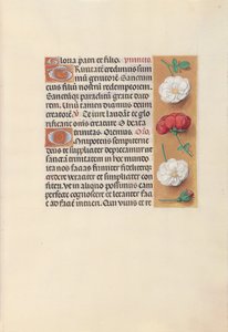 Horas da rainha Isabel, a católica, rainha da Espanha: Fol. 19r, c. 1500. de Master of the First Prayerbook of Maximillian