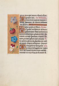 Horas da rainha Isabel, a católica, rainha da Espanha: Fol. 19v, c. 1500. de Master of the First Prayerbook of Maximillian