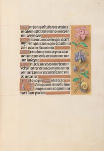 Horas da rainha Isabel, a católica, rainha da Espanha: Fol. 201r, c. 1500. de Master of the First Prayerbook of Maximillian