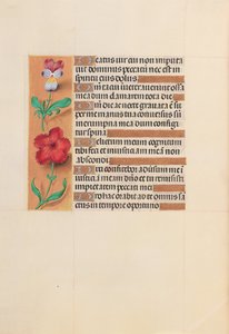 Horas da rainha Isabel, a católica, rainha da Espanha: Fol. 201v, c. 1500. de Master of the First Prayerbook of Maximillian