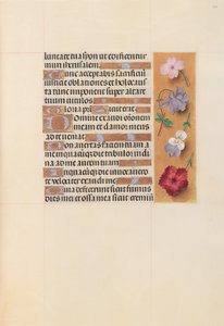 Horas da rainha Isabel, a católica, rainha da Espanha: Fol. 206r, c. 1500. de Master of the First Prayerbook of Maximillian