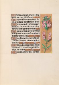 Horas da rainha Isabel, a católica, rainha da Espanha: Fol. 207r, c. 1500. de Master of the First Prayerbook of Maximillian