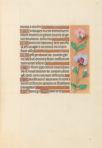 Horas da rainha Isabel, a católica, rainha da Espanha: Fol. 208r, c. 1500. de Master of the First Prayerbook of Maximillian