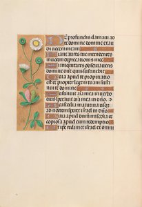 Horas da rainha Isabel, a católica, rainha da Espanha: Fol. 208v, c. 1500. de Master of the First Prayerbook of Maximillian