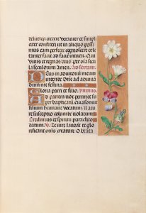 Horas da rainha Isabel, a católica, rainha da Espanha: Fol. 20r, c. 1500. de Master of the First Prayerbook of Maximillian