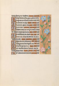 Horas da rainha Isabel, a católica, rainha da Espanha: Fol. 213r, c. 1500. de Master of the First Prayerbook of Maximillian