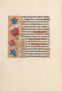Horas da rainha Isabel, a católica, rainha da Espanha: Fol. 214v, c. 1500. de Master of the First Prayerbook of Maximillian